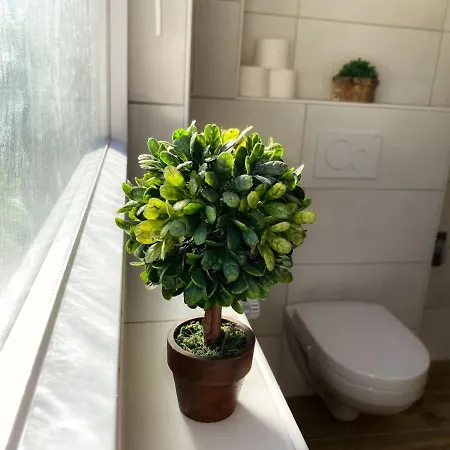 Gaestehaus Beim Metzger / Am Nuerburgring Apartament Dottingen (Rhineland-Palatinate)